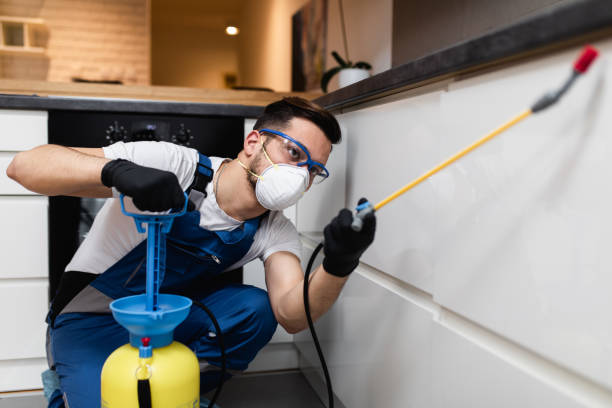 Reliable Vacaville, CA Pest Control Solutions