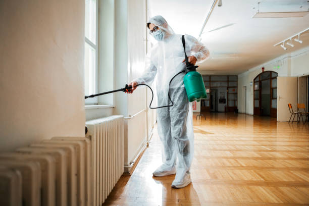 Best Pest Prevention Services  in Vaville, CA